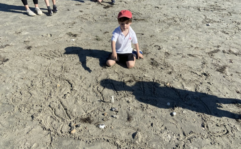 Year 1 at the beach