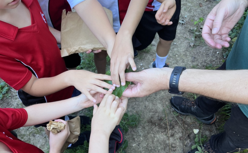 Pupils at Seeley Copse