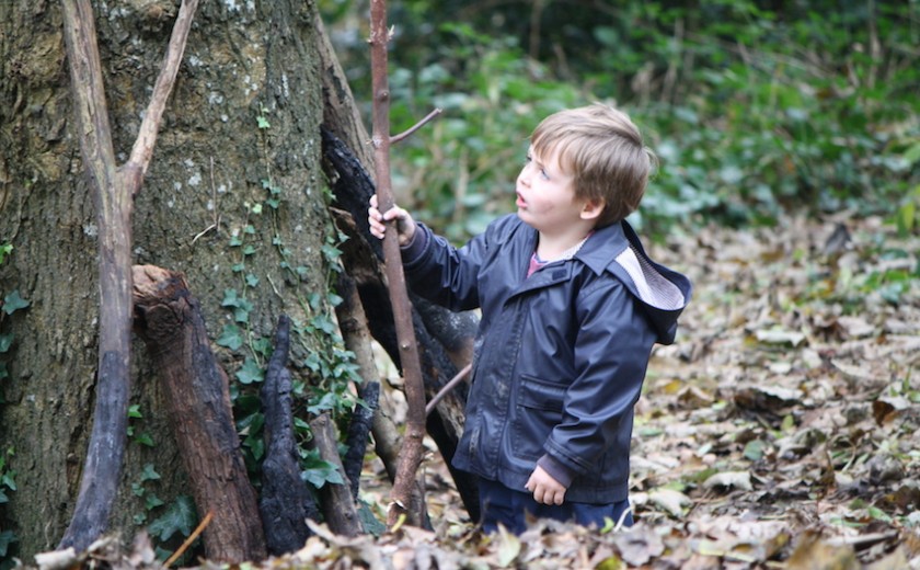 Finding sticks - forest school