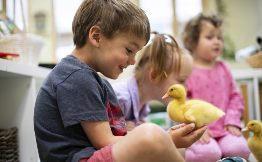 child holds duckling