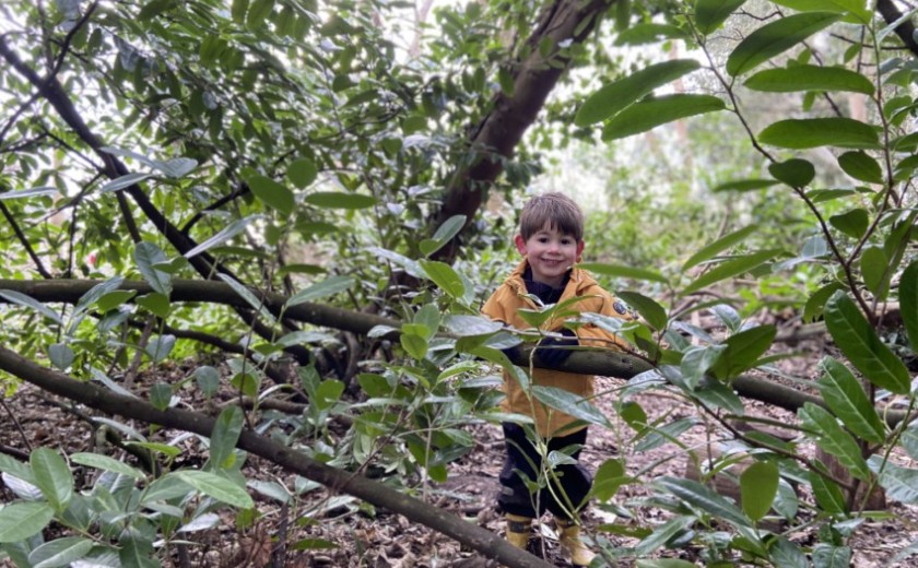 boy hidden in leaves