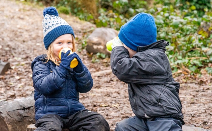 children in the woods