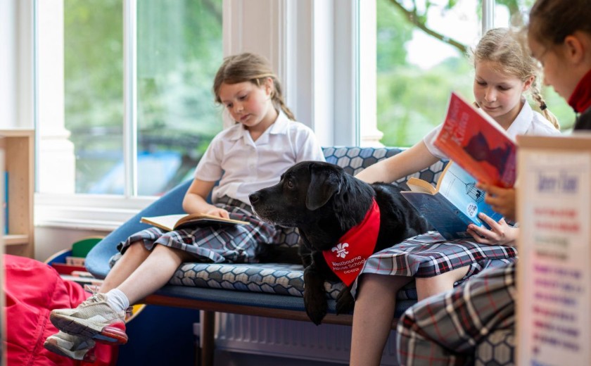 Reading in library with Nancy