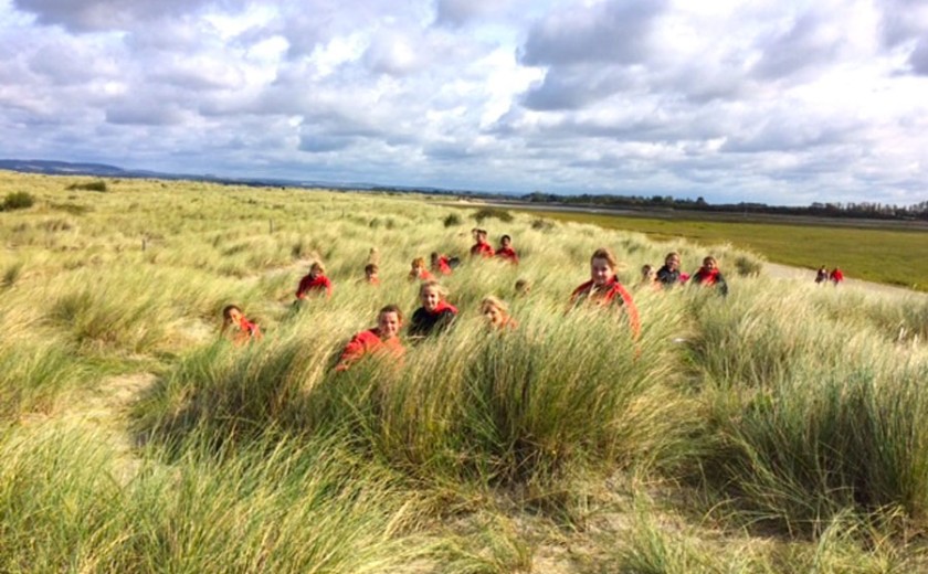 WW dunes