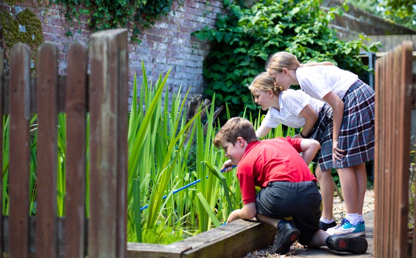 pond dipping