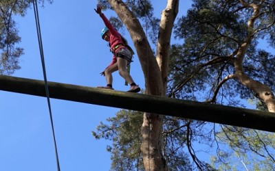 high in the trees year 4 expedition