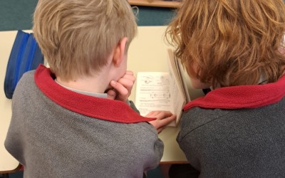 leading by reading peer mentoring 