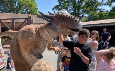 Paultons Park