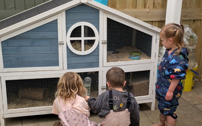 Pupils looking at Guinea pigs 
