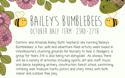 Bailey's Bumblebees 