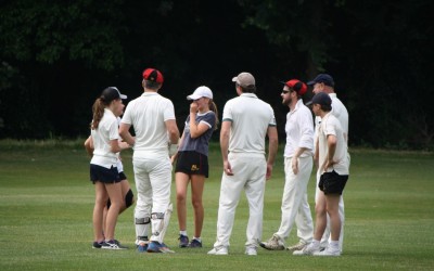 OW Cricket