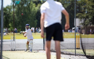 playing cricket